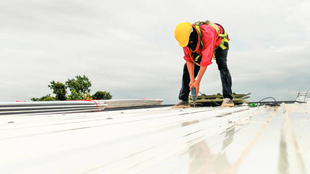 Best Roof Coating and Sealing  in Park Rapids, MN
