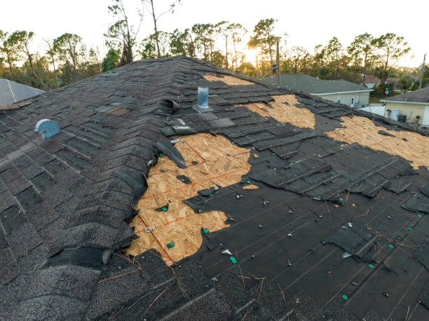 Best Storm Damage Roof Repair  in Park Rapids, MN