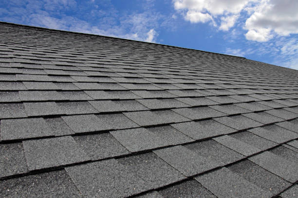Best Emergency Roof Repair Services  in Park Rapids, MN