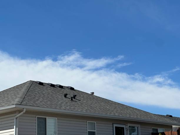 Best Chimney Flashing Repair  in Park Rapids, MN